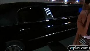 group of horny babes and guys swap oral sex pleasures eagerly