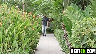 gotham clown chase vol 1 harley quinn parody with cory chase