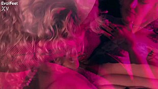 two goddesses lick hairy armpits and feet in nylon bliss