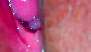 closeup of husband fingering wife's juicy hairy indian pussy