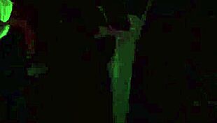 whoa red riding hoe drops costume rides wolf rough...