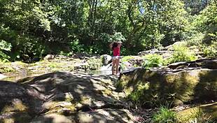 hairy milf caught flashing pussy outdoors gets rough public hunt