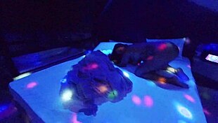 Couple's Wild Anal Creampie: Big Cock Fills Hairy Ass Gaping Doggystyle Quickie