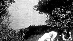 Vintage Nudes Reveal Hairy Pussies and Natural Tits Amid Nature's Calm