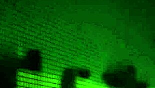 listen to my loud neighbor's wild moaning screams next door