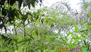 african bbw with big ass tits hairy pussy gets monster cock foursome missionary outdoors in bush xmas ritual