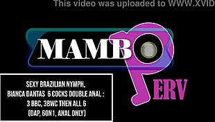bianca dantas takes 6 cocks double anal 3 bbc huge gapes?