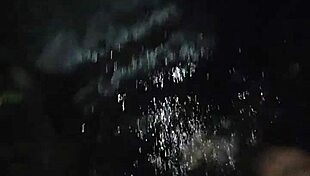 i meet cute whore friend deep in jungle for ass play