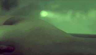 Luca Borromeo Delivers Sensual Erotic Massage on Shaved Slut