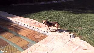 vanessa cage teases her ass pussy and tits in hot backstage cage action