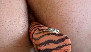 curvy bbw teases with deep toy anal in doggy close-up