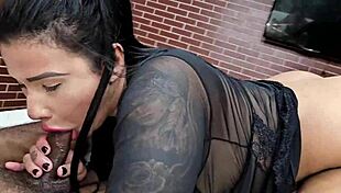 damn diana estrela rides two studs hard in motel screaming for cum on ass and tits 💦🍑