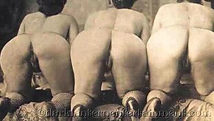 vintage victorian gentleman confesses his erotic cravings for hairy interracial beaver