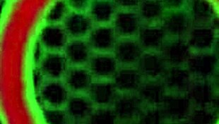 Sara Jay Carmyn's Curvy Milf Body Craves Deep Dildo Thrusts