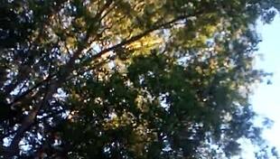 thick caucasian babe's wild sex adventure