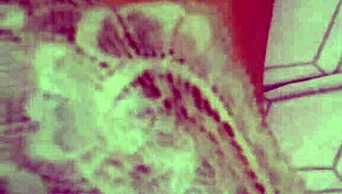 oh man elza's armpits got me worshipping every damn inch so beautiful and sweaty ugh