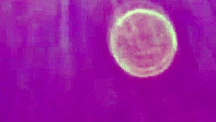 Married 38yo slender bride screams for intense car sex!