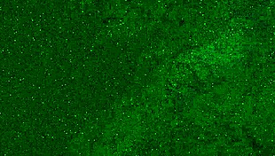 crazy girl pees in panties on public beach