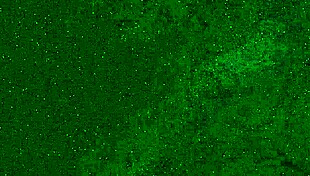 crazy girl pees in panties on public beach