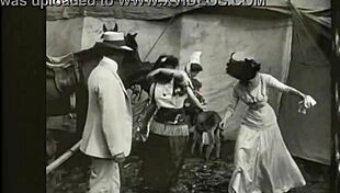 dark lantern dives into two centuries of hairy lesbian beaver licking vintage retro action