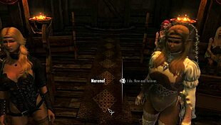 Meralin And Eralin Embark On Skyrim Gaming Adventure