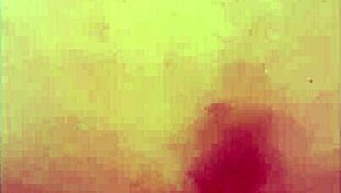 xl flint pounds sleipnir raw even with condom on