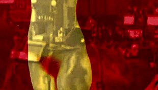 vintage erotic art reveals antique hairy beaver details