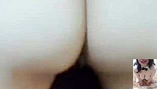 aurora estelar housewife milf chubby curves solo anal penetration deep