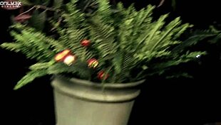 only3x girls still spark butterflies 1080p