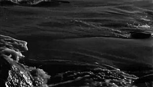 vintage erotic art reveals antique hairy beaver details