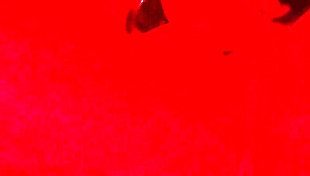 obedient chubby sub milf gulps cum pov asmr