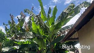 ever wonder how this petite african beauty rides monster cock outdoors in kinky casting bliss