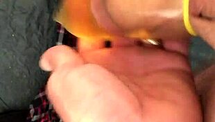 piss filled condom overflows outdoors