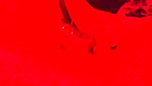 obedient chubby sub milf gulps cum pov asmr