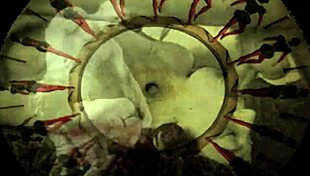 vintage erotic art reveals antique hairy beaver details