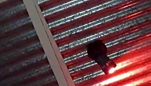 Can You Handle This Steamy Anal Pounding Of A Hot Argentinian Milf In The Motel?