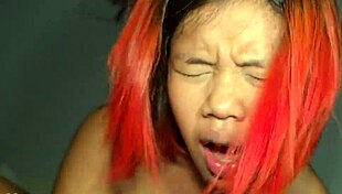1m48 asian girl endures first ultra hardcore pounding session