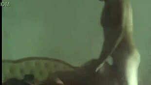 fui uma safada no tinder com esse pauzão na cama peitos grandes vaqueira doggystyle pov