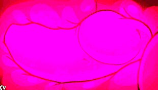 who wouldn't creampie those big natural tits furry milf?