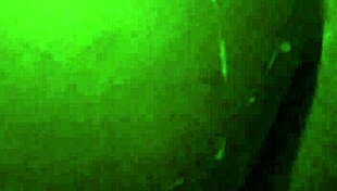 man this good ebony ass pussy made me squirt everywhere