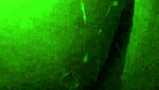 man this good ebony ass pussy made me squirt everywhere