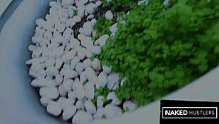 fat pawg asses bent over passed around doggystyle by huge cock