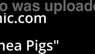 Doctor Mandates Hitachi Orgasms For Human Guinea Pig Patient Tampa