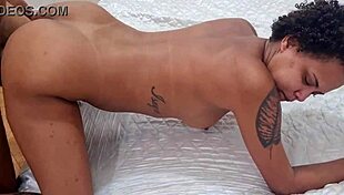 Emotional Cuck Wakes Latina Wife for Rough Bent Over Bull Pounding