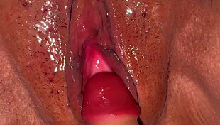 enjoying virgin halloween dildo play up close with wife