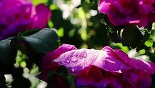 i'm like my college friend just fucked me so good ya know