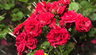 i'm like my college friend just fucked me so good ya know