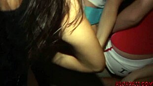 amanda, you bobbing boners at that wild party?