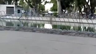 whoops, caught this petite college teen's public park flashing scandal turning into creampie exhib fun...