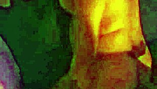 i watch hot latina wife get fucked by single on video call with cuckold fans